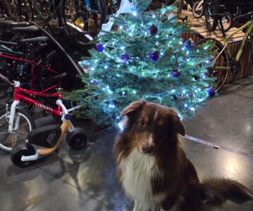 Fermeture annuelle du 21 décembre au 5 janvier